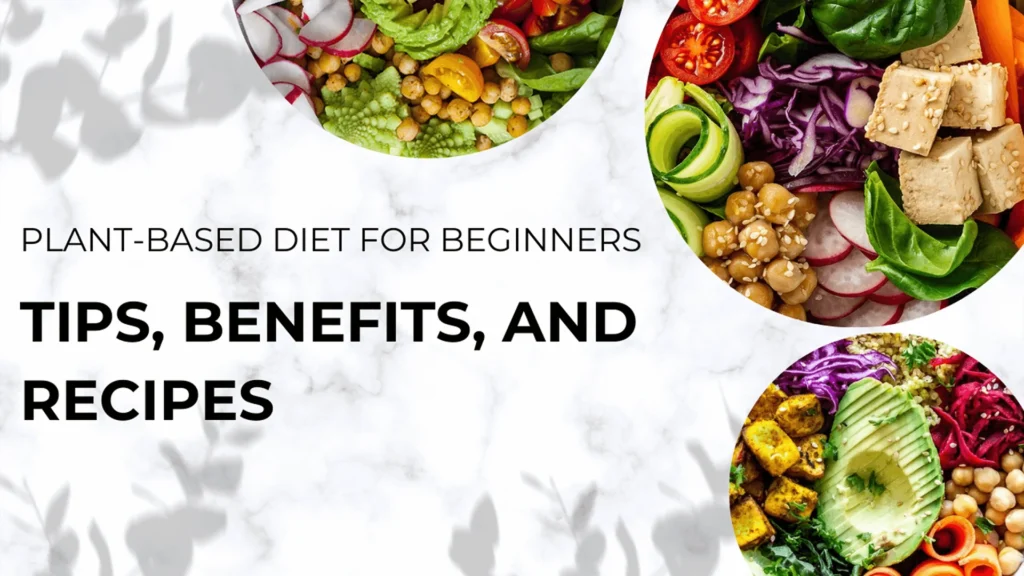 Plant-Based Diet for Beginners Tips, Benefits, and Recipes